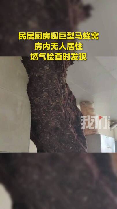 ҂ҕlLɳһӏNF(xin)RCo˾סȼzrl(f)F(xin)Lɳ҂ҕlcP(gun)ע҂ҕl